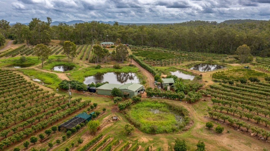 Real Estate in Bullyard