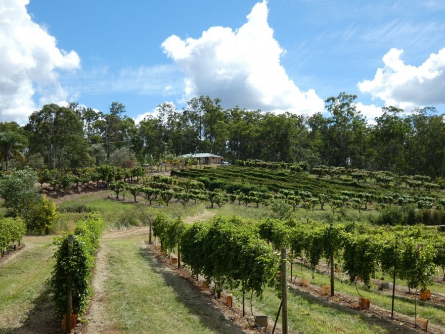 Bullyard Properties For Sale