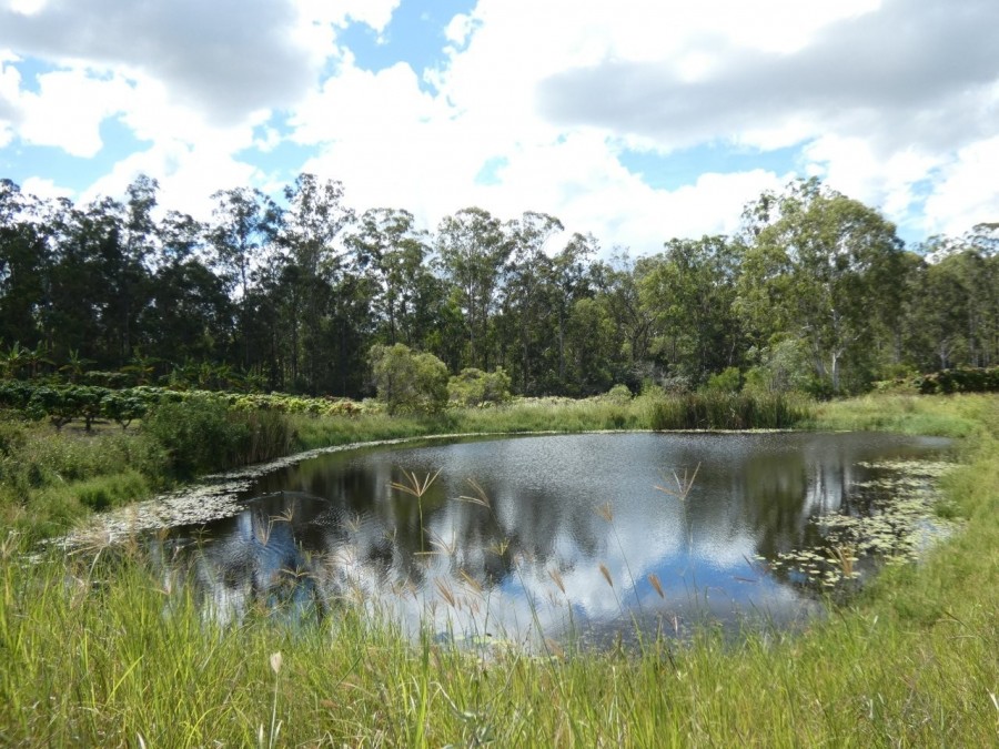 Real Estate in Bullyard
