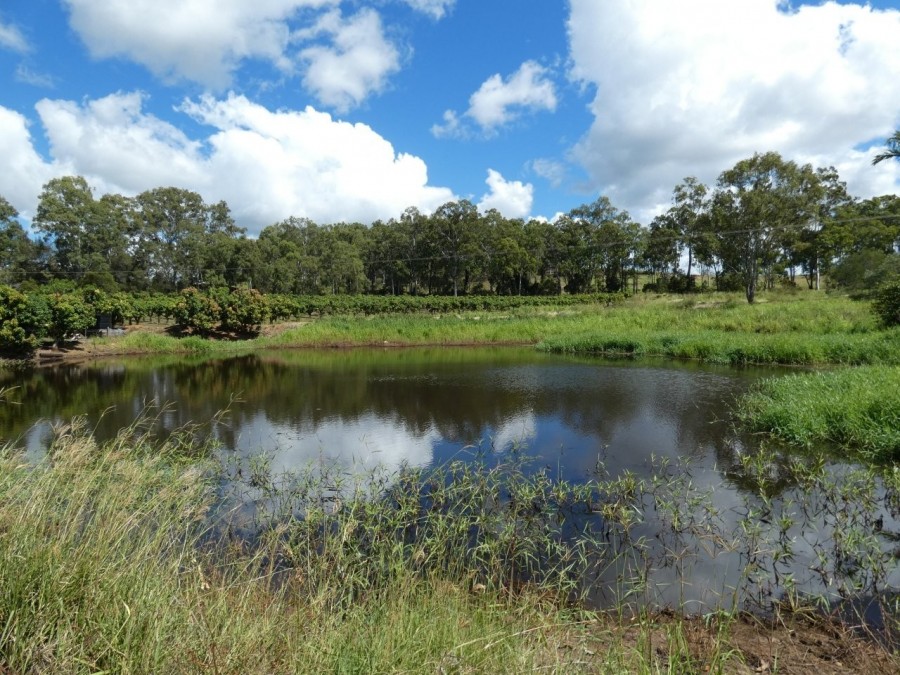Real Estate in Bullyard