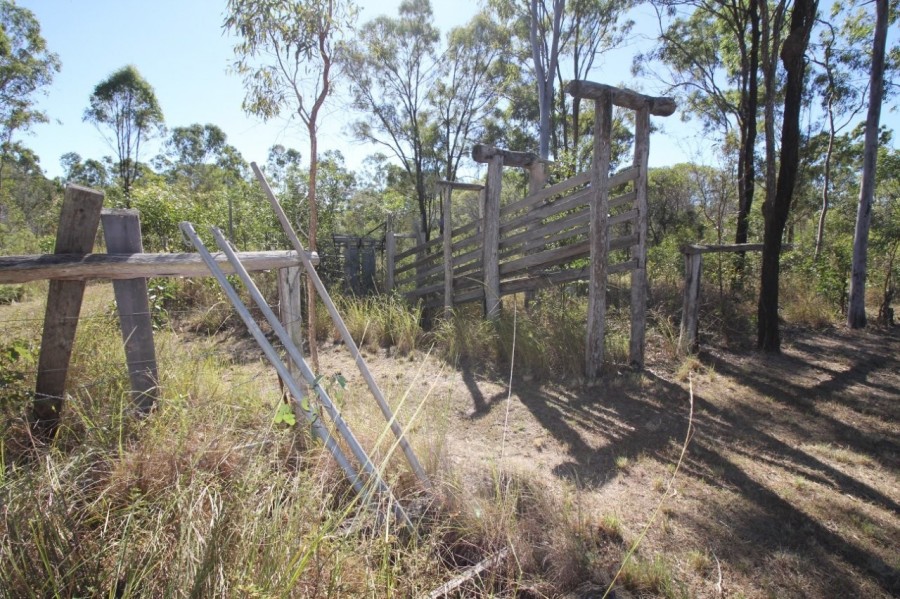Real Estate in Mount Maria