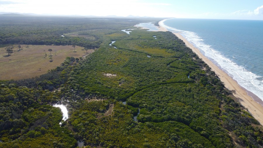 Real Estate in Rules Beach