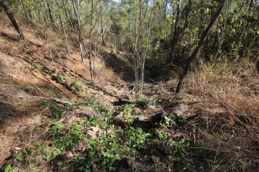 Real Estate in Mount Maria