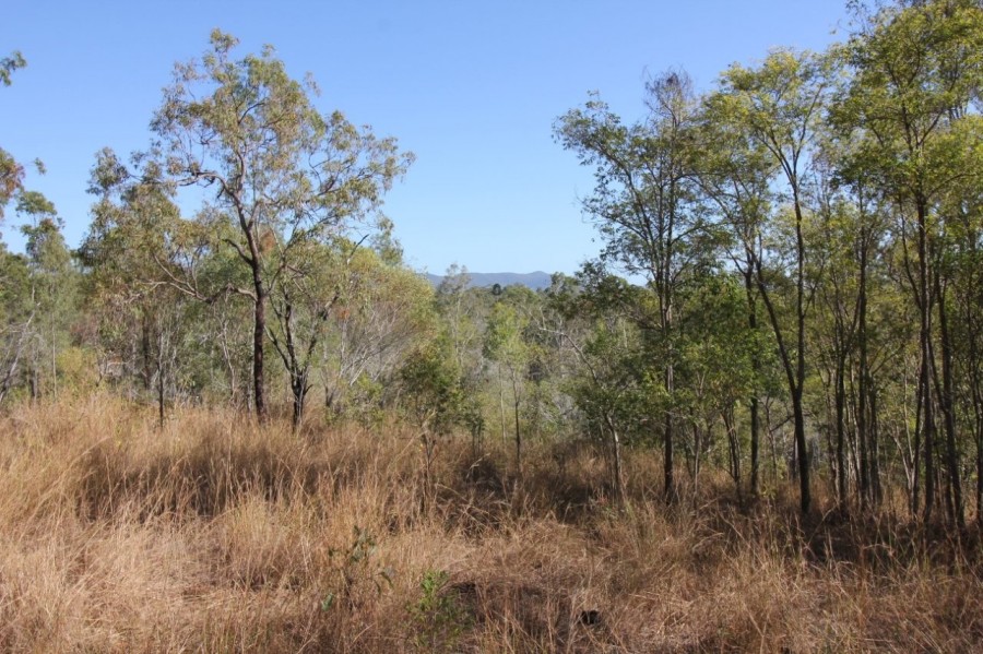 Real Estate in Mount Maria