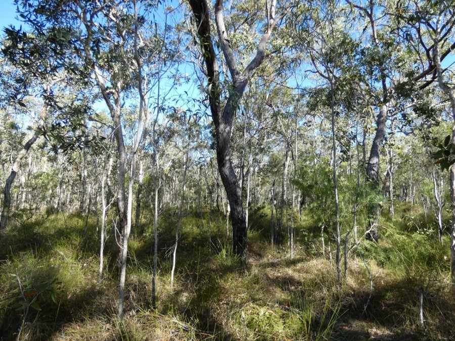 Deepwater Properties For Sale