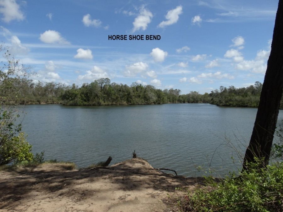 Real Estate in Oyster Creek