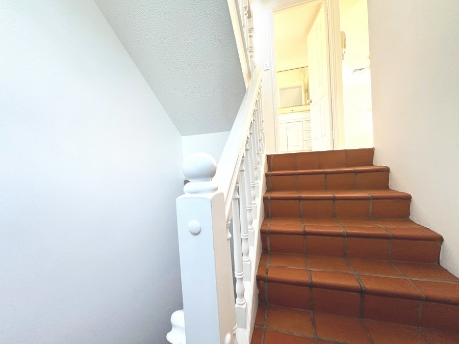 Real Estate in Toowong