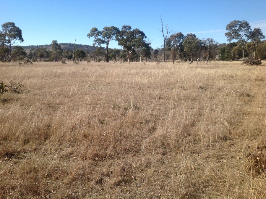 21 Beethoven Lane, Armidale > Armidale Town & Country Real Estate