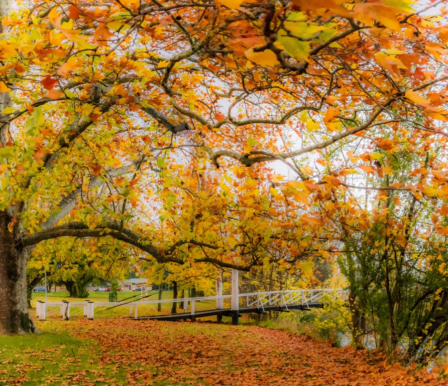 Lot 23 The South Hill, Armidale > Armidale Town & Country Real Estate