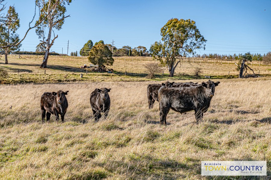 78 Cluny Road, Armidale > Armidale Town & Country Real Estate