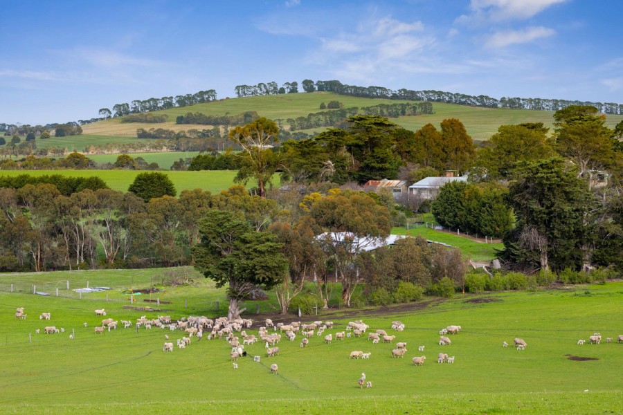 Property For Sale in Gnarwarre